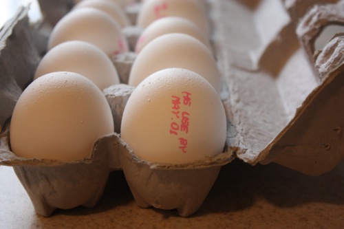 Expiry date on eggs